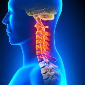 11th Mayo Clinic Medical And Surgical Spine Course: Cervical Spine Update: Phoenix, Arizona, USA, 12-14 January 2017