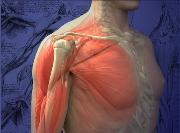 Mayo Clinic Course on Shoulder Tendon Transfer/Complex Rotator Cuff Repair