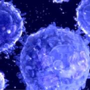 Introduction to Oncology: Focus on Solid Tumors