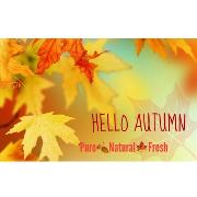 Free 10 Steps to Autumn Wellness - Pop along and join us - 5.30pm Oct 26th